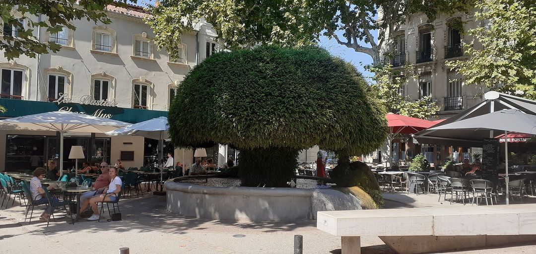 La Fontaine moussue par Indigo&fushia